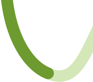 Top Ribbon