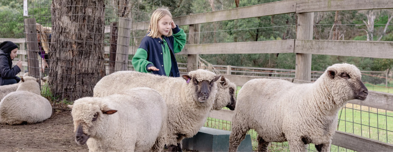 collingwood childrens farm 3x
