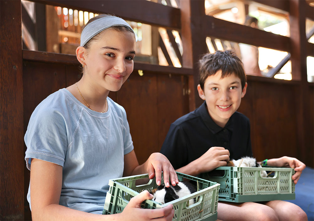Children holding containers with guinea pigs at Collingwood Children’s Farm.