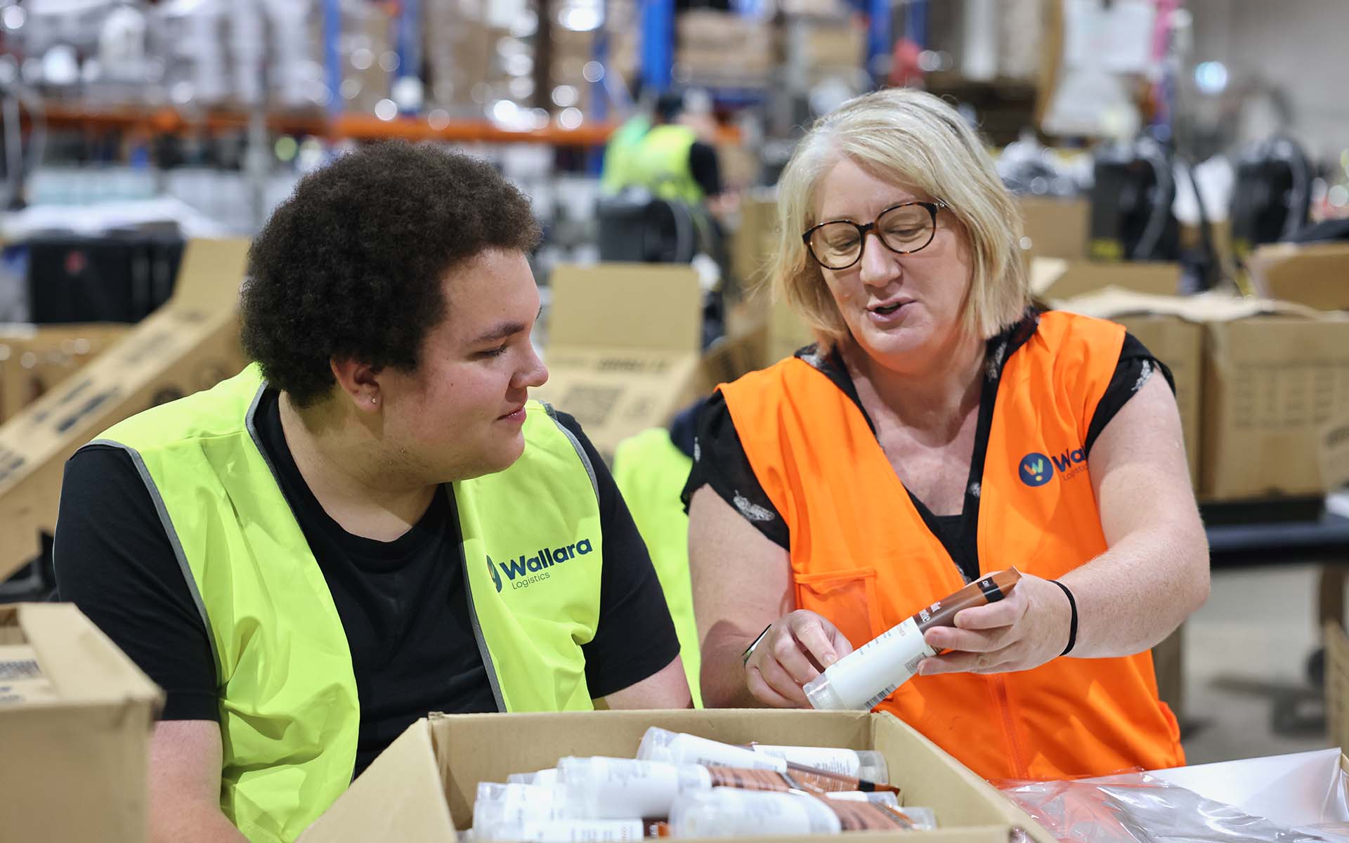 wallara employment pathways supporting 02