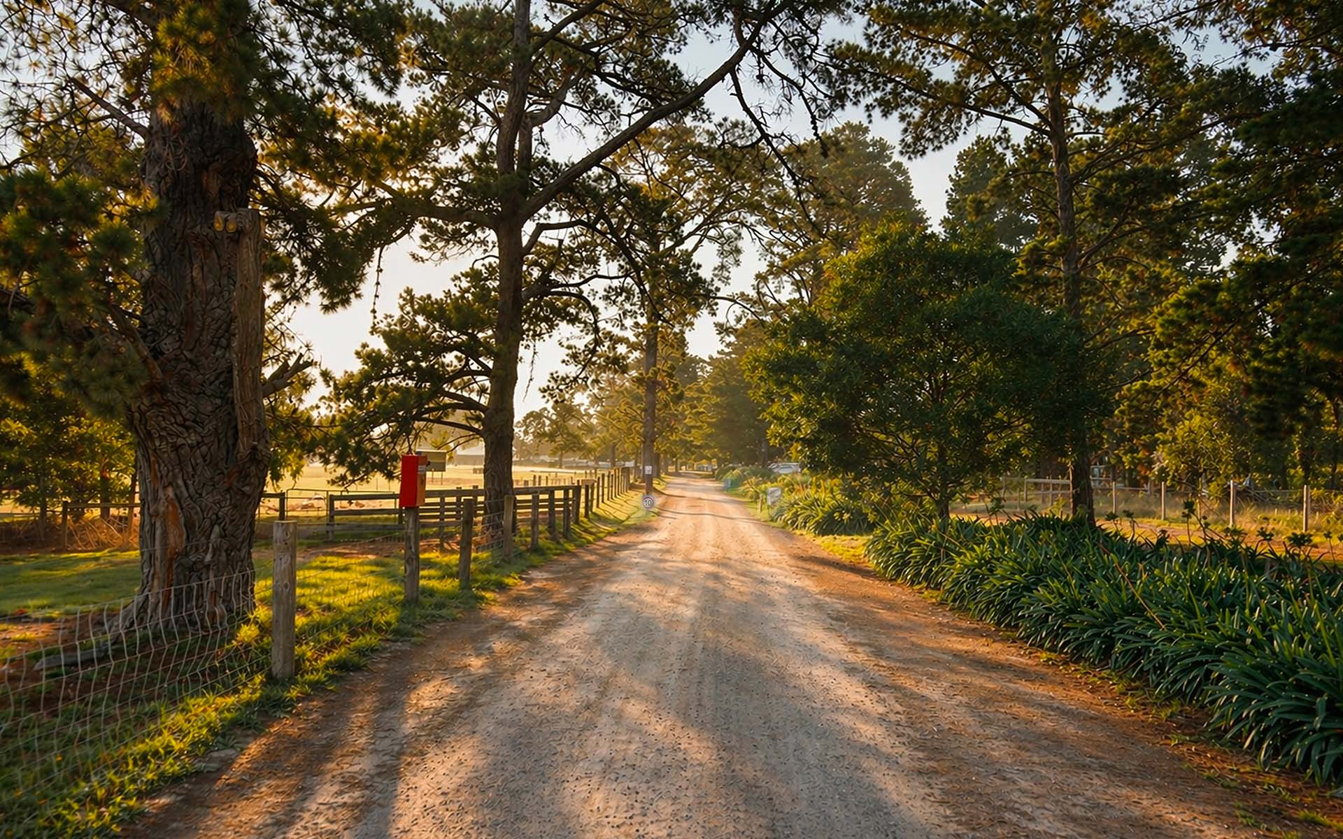 A tree-lined pathw¬ay leading to Sages Cottage Farm.